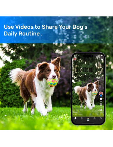 Rastreador GPS para perros DBDD IP67 con alertas y monitoreo