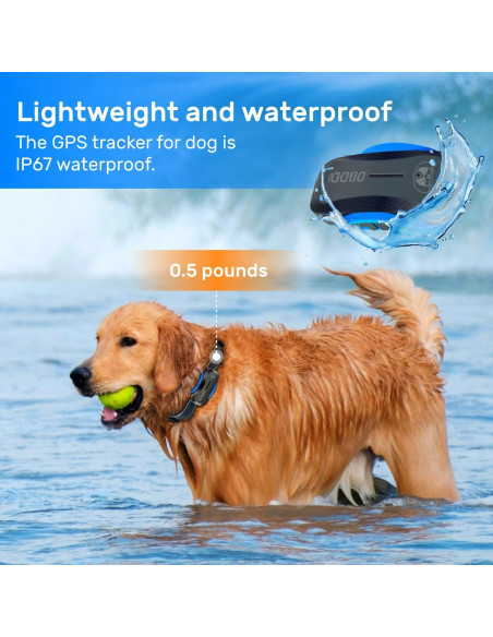 Rastreador GPS para perros DBDD IP67 con alertas y monitoreo