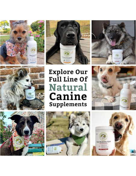 Suplemento Multivitamínico para Perros Wholistic 0.45 kg