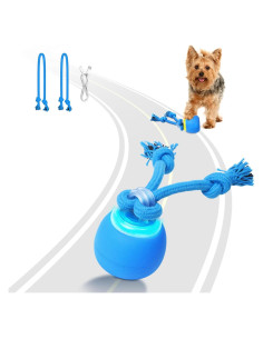 Pelota Interactiva para Perros Saolife, Recargable USB, 7.37 cm