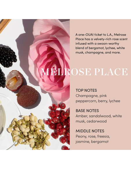 Exfoliante Corporal y para Cuero Cabelludo OUAI 249 g Melrose Place