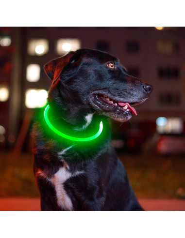 Collar de Perro LED BSEEN Recargable USB Verde 69.85 cm