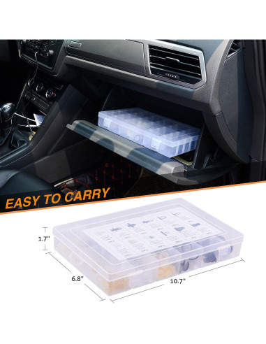 GOOACC 166 Pcs Clips de Retención y Grommets de Tornillo