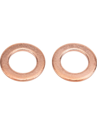 Juego de Mangueras de Freno Delanteras TRQ BLA63490 2 Piezas