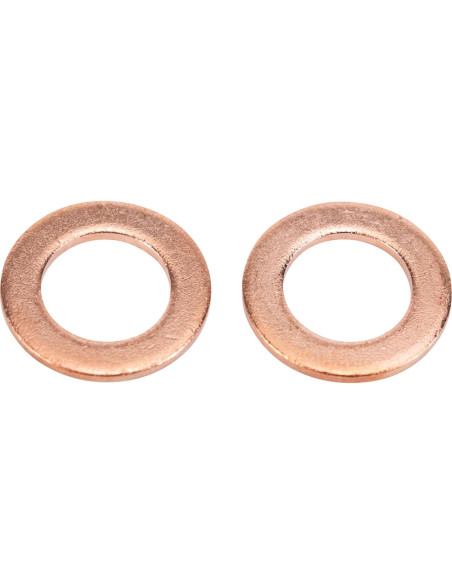 Juego de Mangueras de Freno Delanteras TRQ BLA63490 2 Piezas