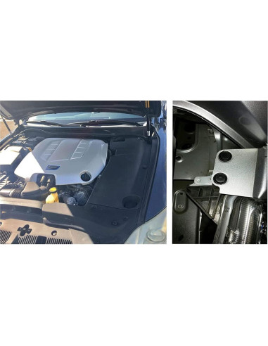 100 Clips de Retención Nylon Negro para Toyota Lexus 90467-07201