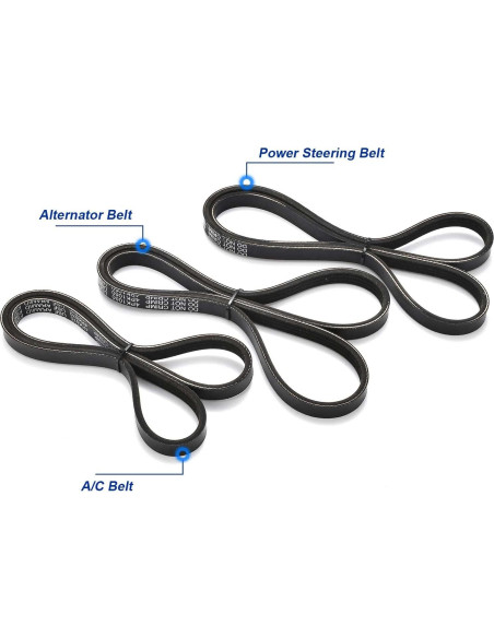 Kit de Correa de Distribución Nakuuly con Bomba de Agua 3.4L