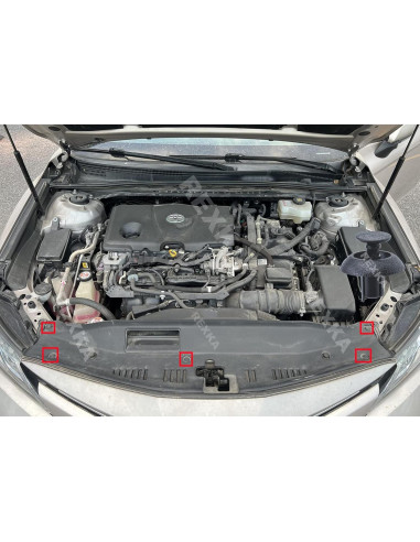 20 Clips Sujetadores de Motor Rexka para Toyota Lexus 7mm