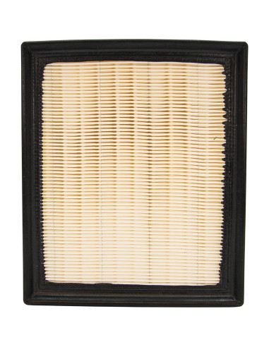 Filtro de Aire del Motor ECOGARD XA6114 Compatible Toyota