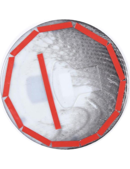 Cubierta Tanque Combustible Toyota Tundra 2007-2021 ABS Carbono