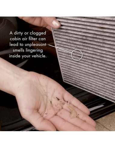 Filtro de Aire de Cabina Premium Guard PC99237X para Toyota y Lexus