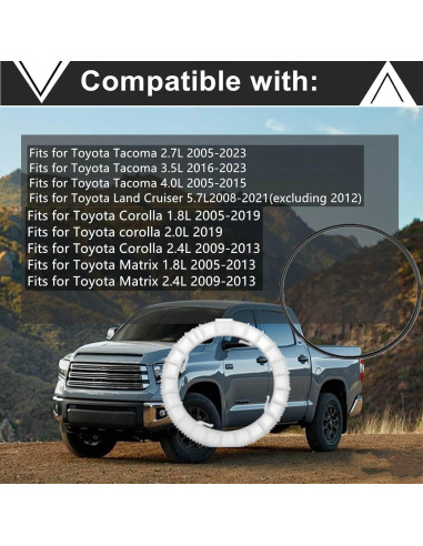 Retenedor de Anillo de Bloqueo de Bomba de Combustible XYWZV