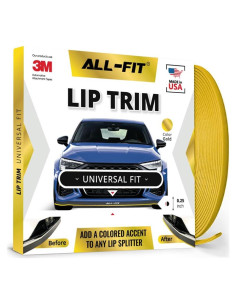 Moldura Universal All-Fit Automotive 10 pies Dorado