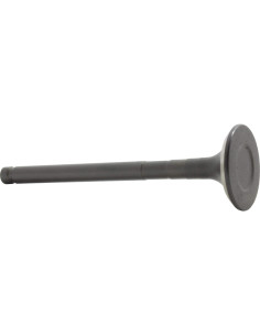 Válvula de Escape DNJ EV945 para Toyota Corolla 1.6L-1.8L 2