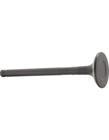 Válvula de Escape DNJ EV945 para Toyota Corolla 1.6L-1.8L