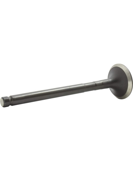 Válvula de Escape DNJ EV945 para Toyota Corolla 1.6L-1.8L