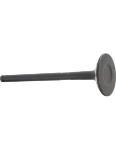 Válvula de Escape DNJ EV946 para Toyota, Chevrolet 1.8L 2