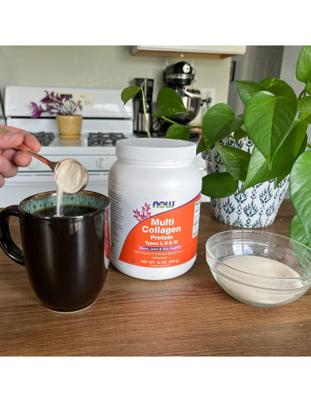 Proteína Multi Colágeno NOW Foods 454 g - Salud Huesos y Piel Proteína Multi Colágeno NOW Foods 454 g - Salud Huesos y Piel