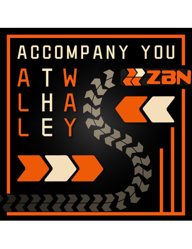 Válvula de Control de Aceite VVT ZBN 917-020 para Toyota