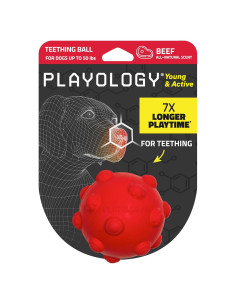 Pelota de Dentición Mediana Playology con Aroma a Carne
