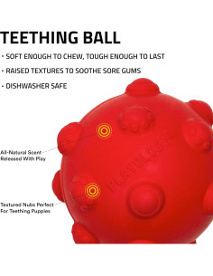 Pelota de Dentición Mediana Playology con Aroma a Carne 2