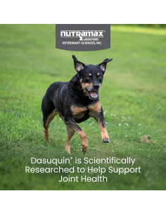 Suplemento Articular Nutramax Dasuquin 84 Masticables Perro Pequeño/Mediano 2