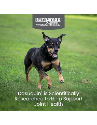 Suplemento Articular Nutramax Dasuquin 84 Masticables Perro Pequeño/Mediano