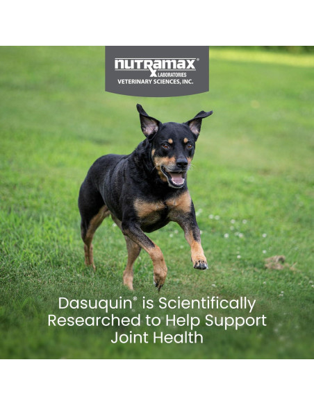 Suplemento Articular Nutramax Dasuquin 84 Masticables Perro Pequeño/Mediano