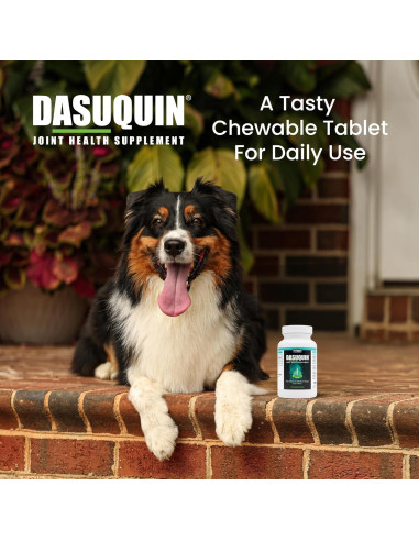 Suplemento Articular Nutramax Dasuquin 84 Masticables Perro Pequeño/Mediano