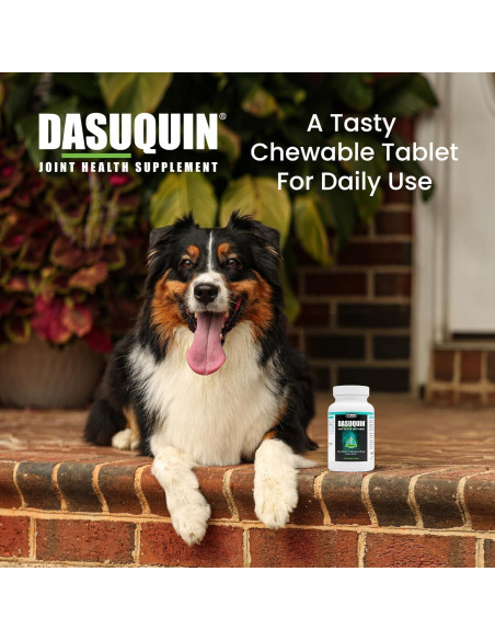 Suplemento Articular Nutramax Dasuquin 84 Masticables Perro Pequeño/Mediano