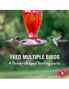 Alimentador de Colibríes Perky-Pet 710 ml Vidrio Rojo Vintage 2