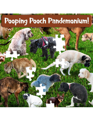 Rompecabezas 500 Piezas Funwares 101 Cachorros Divertido