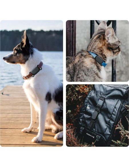 Soporte para Collar de Perro SkyArmor para Galaxy Smarttag2 - Funda Silicona Impermeable Soporte para Collar de Perro SkyArmor para Galaxy Smarttag2 - Funda Silicona Impermeable