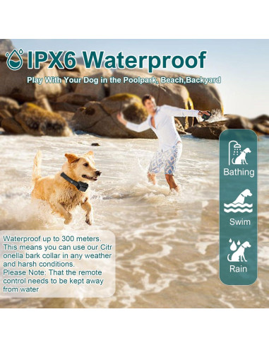 Collar de Entrenamiento de Citronela KDSZJDV T510 IPX7 para Perros