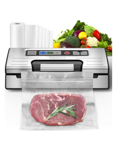 Máquina Selladora al Vacío Gasbye VS5166 Doble Sellado 95kPa