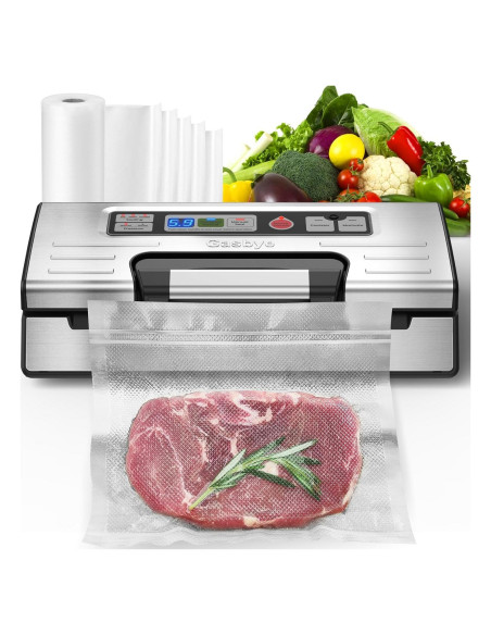 Máquina Selladora al Vacío Gasbye VS5166 Doble Sellado 95kPa