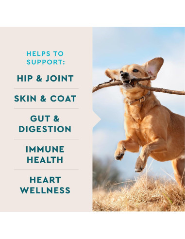 VetIQ Suplemento Masticable 5-en-Uno para Perros 60 Unidades