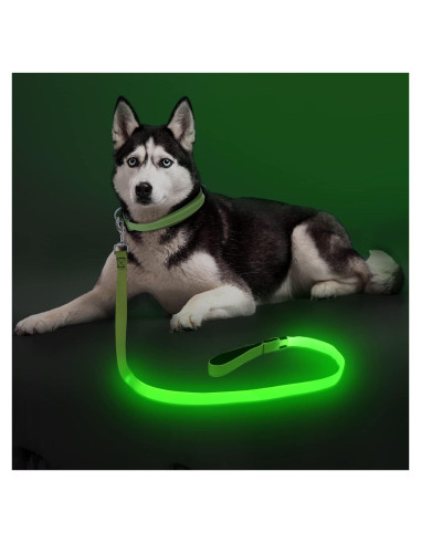 Correa para Perros Bisen LED Recargable 4FT Verde Seguridad