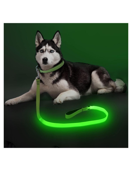 Correa para Perros Bisen LED Recargable 4FT Verde Seguridad Correa para Perros Bisen LED Recargable 4FT Verde Seguridad