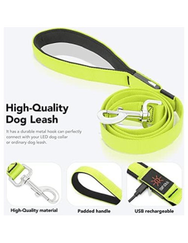 Correa para Perros Bisen LED Recargable 4FT Verde Seguridad