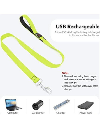 Correa para Perros Bisen LED Recargable 4FT Verde Seguridad