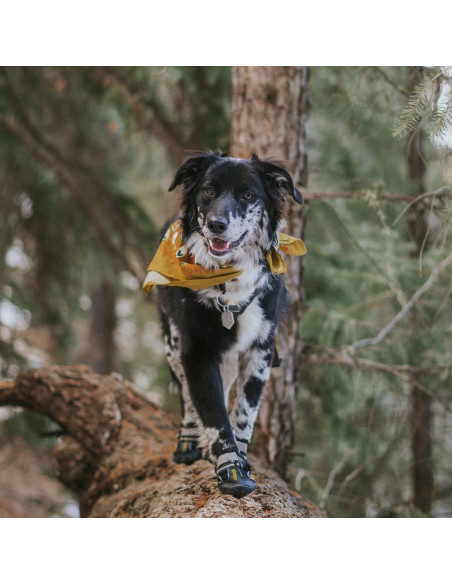 Botas para Perros QUMY Tamaño 1, Impermeables y Antideslizantes