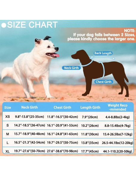 Chaleco Salvavidas para Perros EMUST Sirena Azul XS