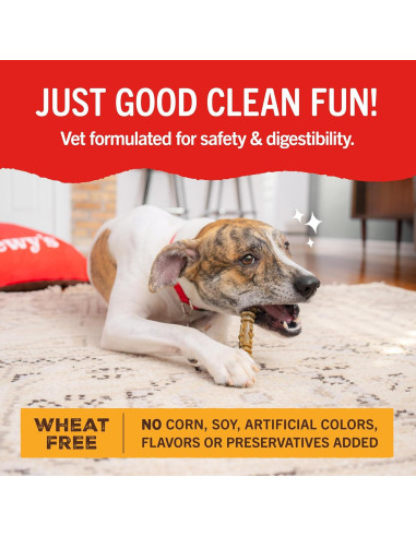 Golosinas Dentales para Perros Stella & Chewy's Pollo 155.9g