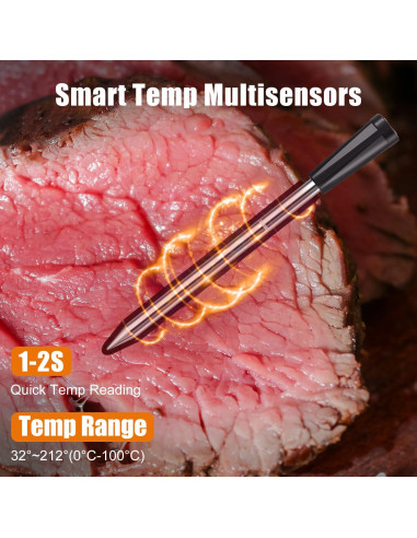 Termómetro de Carne Insmart Inalámbrico Bluetooth 17.3cm
