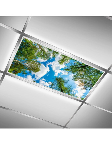 Filtros de Luz Fluorescente Magnéticos RoseFace 2 Piezas 121.9x61cm