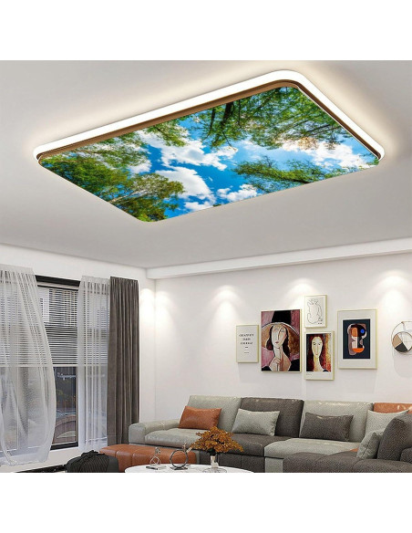 Filtros de Luz Fluorescente Magnéticos RoseFace 2 Piezas 121.9x61cm