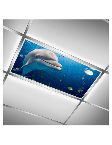 Filtros de Luz Fluorescente Magnéticos RoseFace 2 Pcs 121.9x61cm