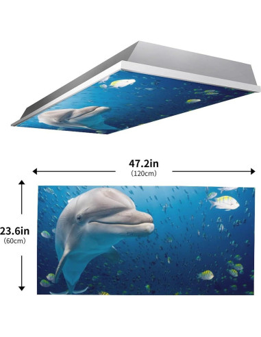 Filtros de Luz Fluorescente Magnéticos RoseFace 2 Pcs 121.9x61cm