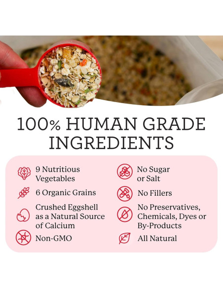 Alimento Deshidratado para Perros Dr. Harvey's 184 g - 9 Verduras